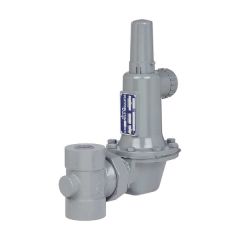 USG 046 1" NPT Gas Pressure Regulator