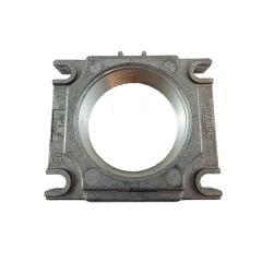 Dungs 215384, 2" Rp Flange